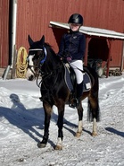 Roosa Piiri ja Prinssi suorittivat ratansa virheittä 70cm korkeudella
(Kuva Virpi Nippala)