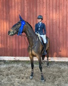 Ida Repo ja Prima Mia, ratsukko nappasi hallimestaruudessa hopeaa vuoden 2022 aikana.