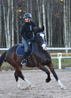 Miili Holmström ja Aktian Oliver vauhdissa esteillä, kuva Erica Hellman