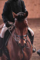 Vuko van de Mullegracht