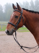 Ekvador, kavereiden kesken Eki
Kuva: Virpi Nippala