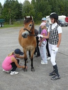 Hoitajia oli riittävästi