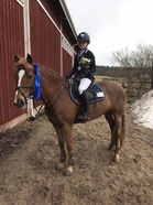 Annika ja Cappe, ESRAn hallimestaruus HOPEAA poneissa!
(Kuva: Mia Maukonen)