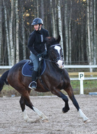 Miili Holmström ja Aktian Oliver vauhdissa esteillä, kuva Erica Hellman