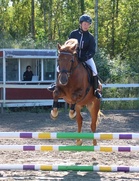 Anton Cupin voittaja ratsukko Eerika Veikkolainen ja Vipper
(kuva Virpi Nippala)