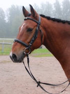 Eki vietti 10 vuotis synttäreitään 26.02.23
(kuva: Virpi Nippala)