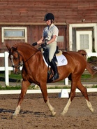 Heidi ja lainaratsu Talina, kuva Erica Hellman