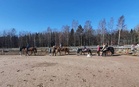 Talutusratsastusta tallilla
(kuva Virpi Nippala)